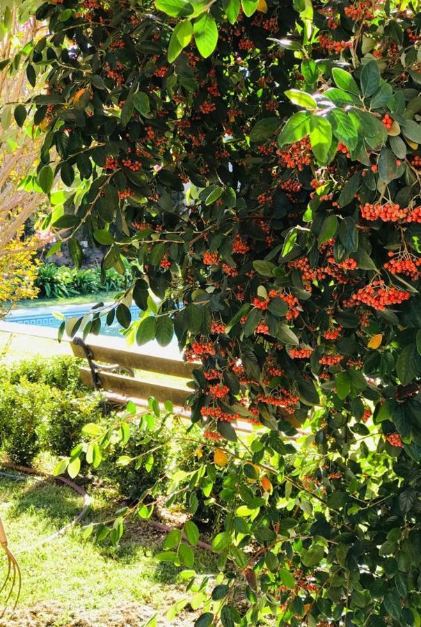 Horneros Holiday home